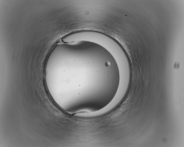 X0000090600673200708141331