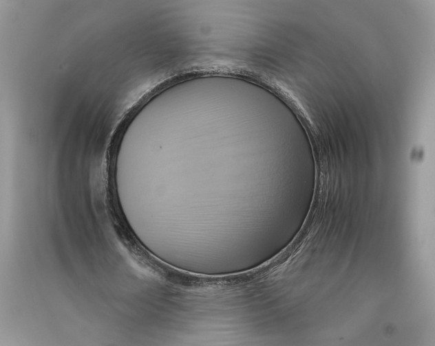 X0000090600674200708141331