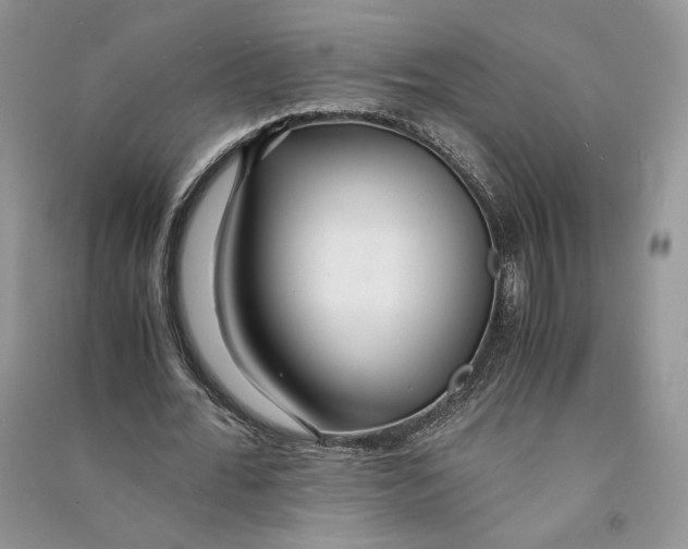 X0000090600676200708141331