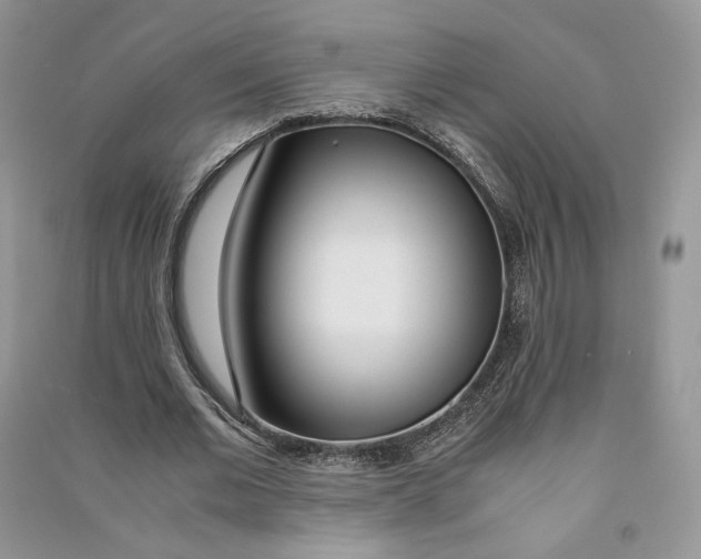 X0000090600677200708141331