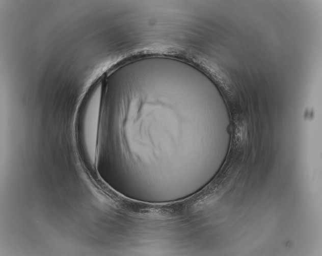 X0000090600678200708141331