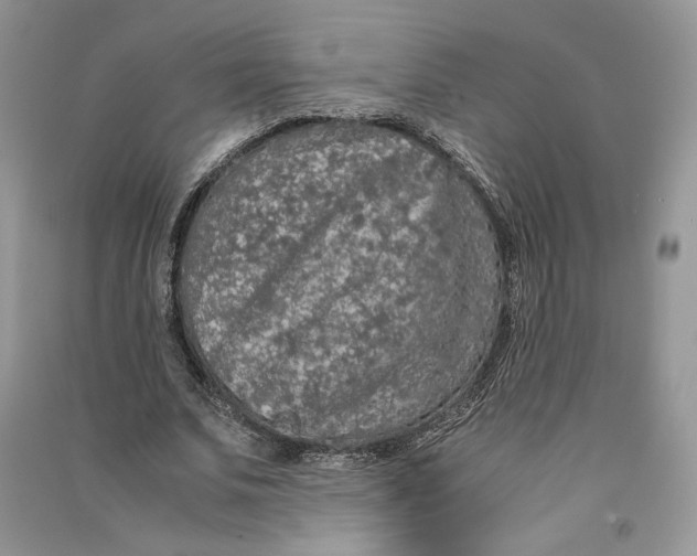 X0000090600679200708141331