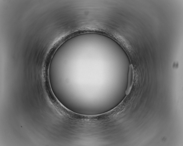 X0000090600680200708141331