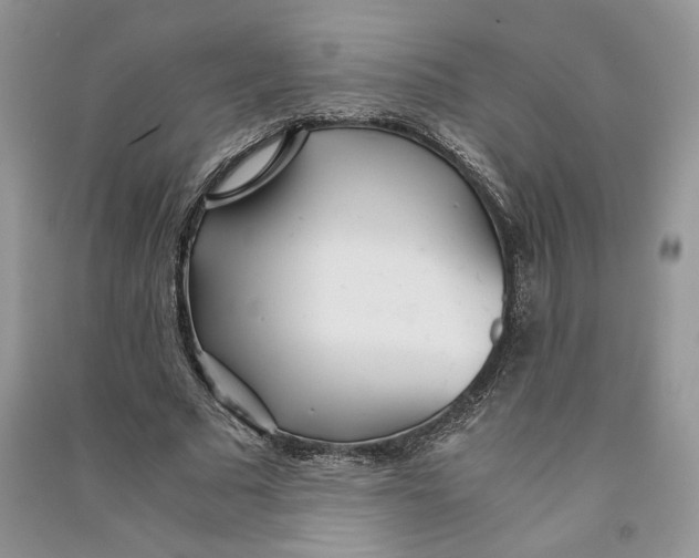 X0000090600681200708141331