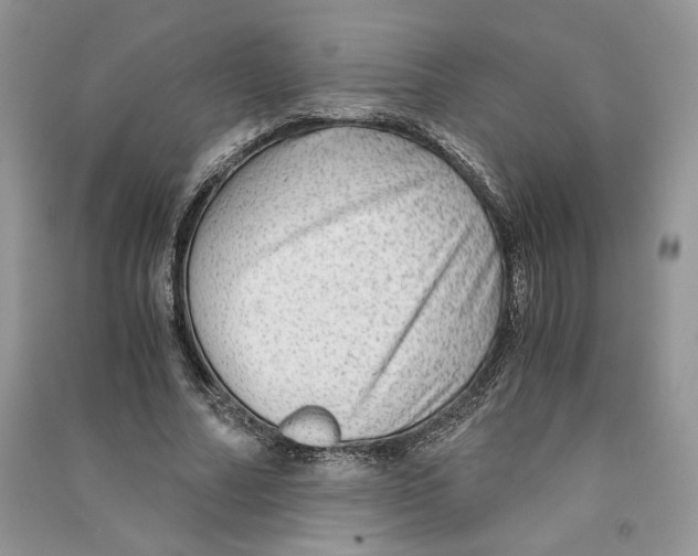 X0000090600682200708141331