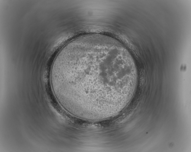 X0000090600683200708141331