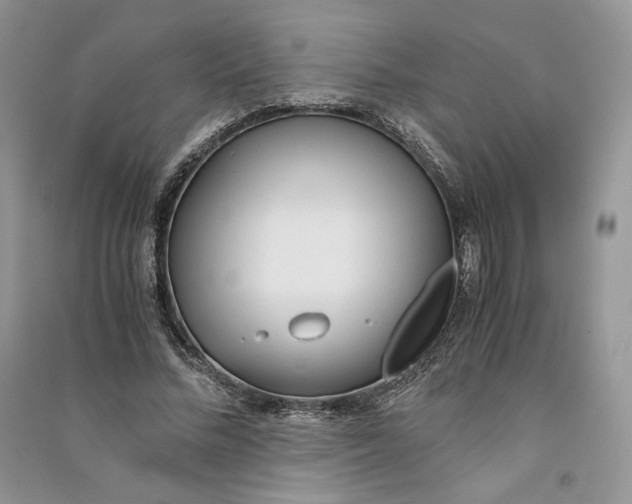 X0000090600684200708141331