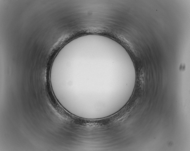 X0000090600686200708141331