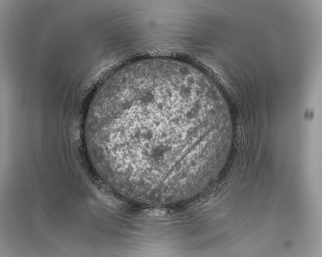 X0000090600687200708141331