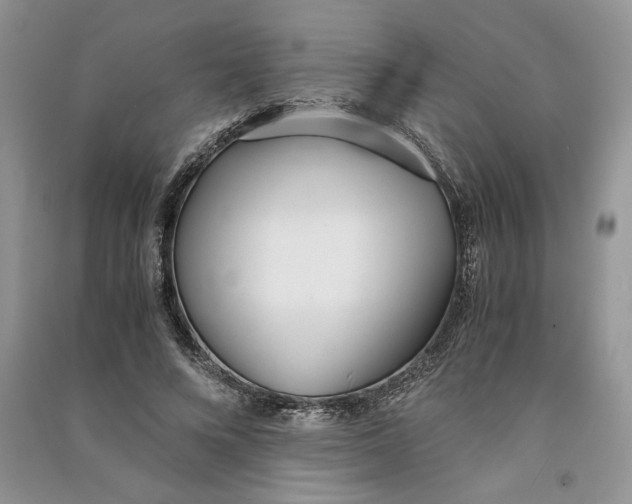 X0000090600688200708141331