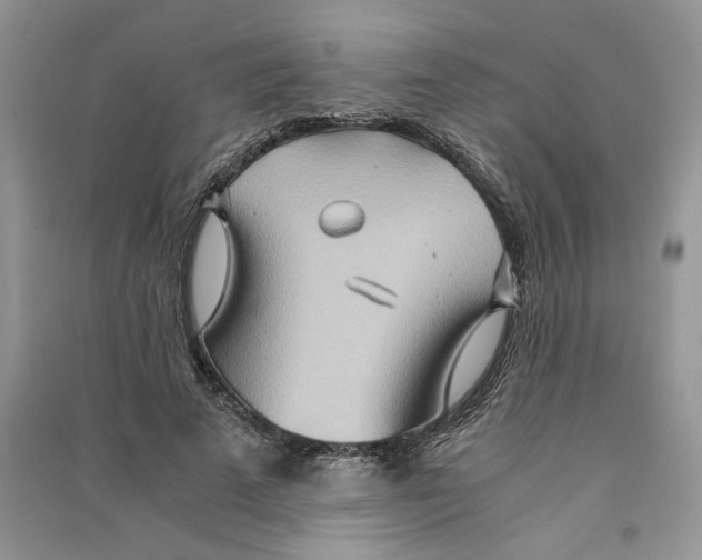 X0000090600689200708141331