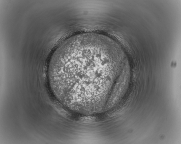 X0000090600691200708141331