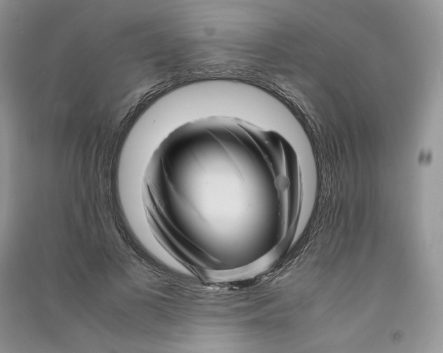 X0000090600693200708141331