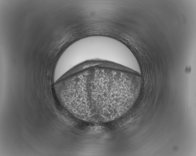 X0000090600695200708141331