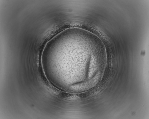 X0000090600696200708141331