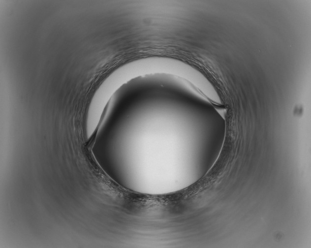 X0000090600697200708141331