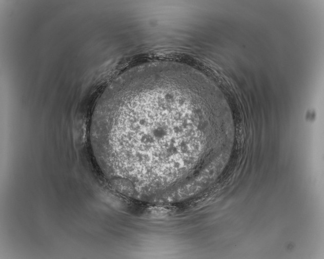 X0000090600703200708141331