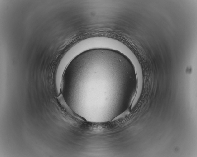 X0000090600704200708141331