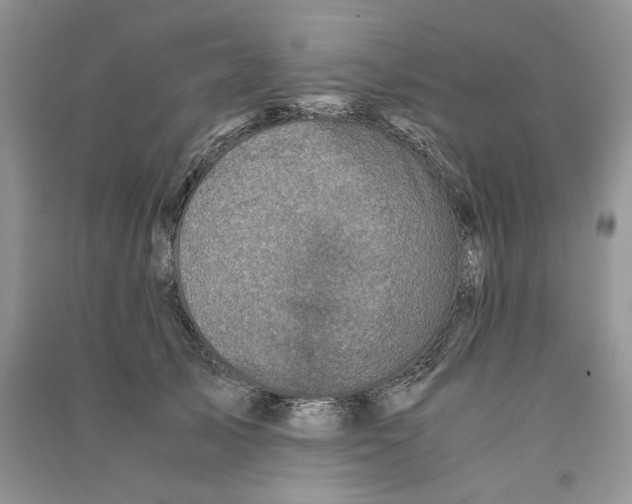 X0000090600705200708141331