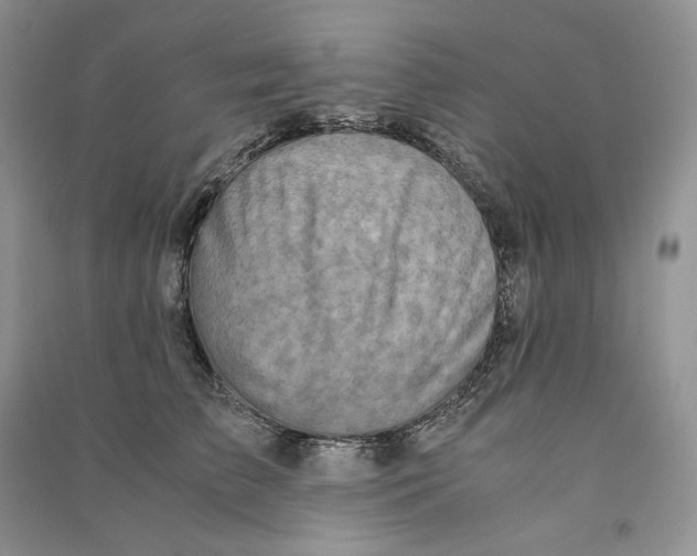 X0000090600709200708141331