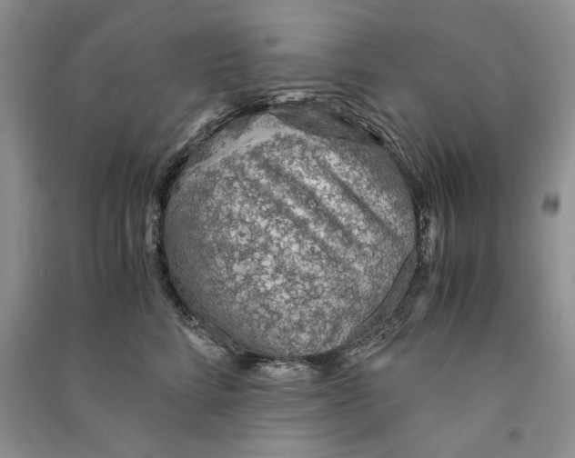 X0000090600712200708141331