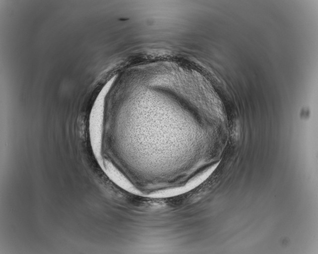 X0000090600715200708141331