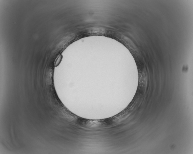 X0000090600717200708141331