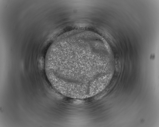 X0000090600718200708141331