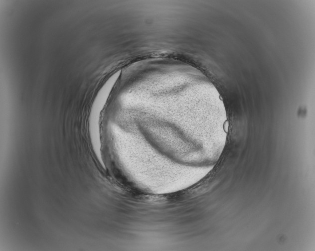 X0000090600719200708141331