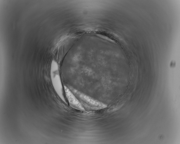 X0000090600720200708141331