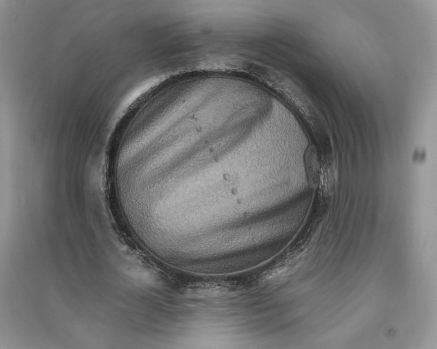 X0000090600724200708141330