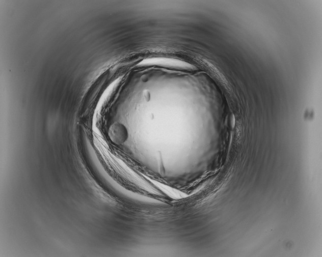 X0000090600725200708141330