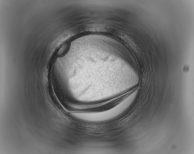 X0000090600727200708141330