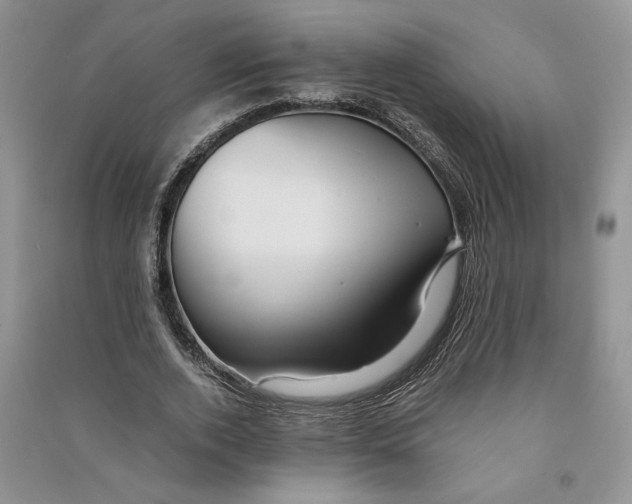 X0000090600728200708141330