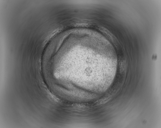 X0000090600729200708141330