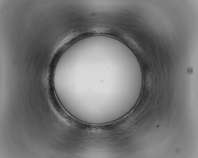 X0000090600730200708141330