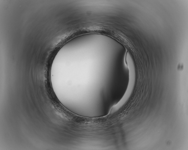 X0000090600732200708141330