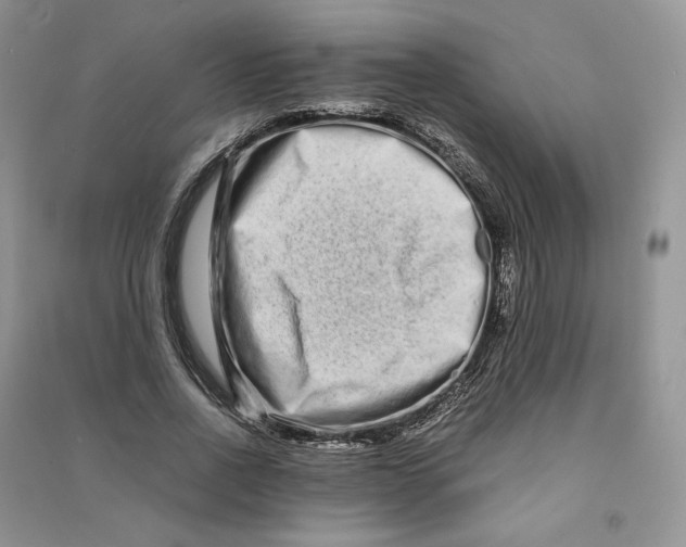 X0000090600734200708141330