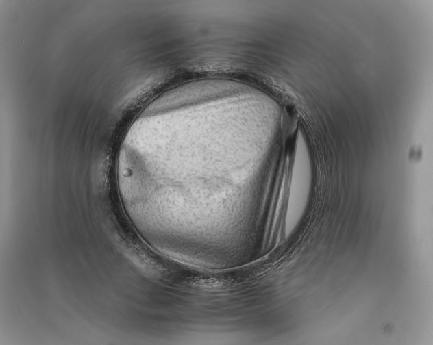 X0000090600735200708141330