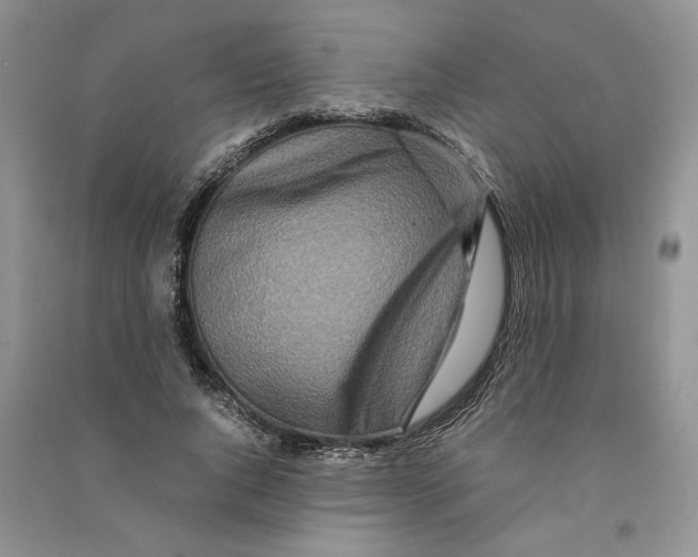 X0000090600736200708141330