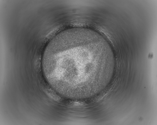 X0000090600737200708141330