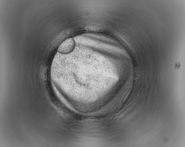 X0000090600738200708141330