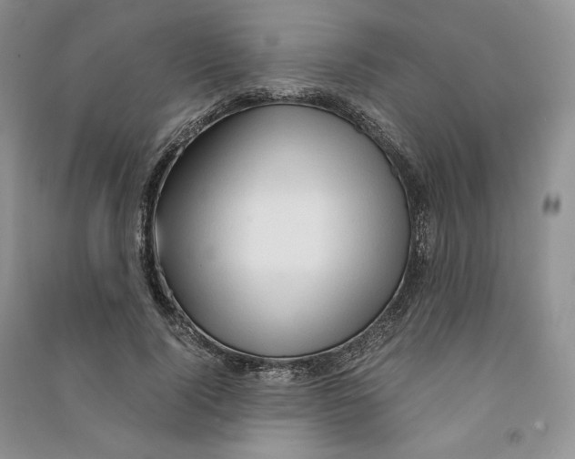 X0000090600740200708141330