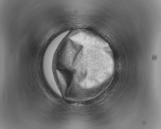 X0000090600742200708141330