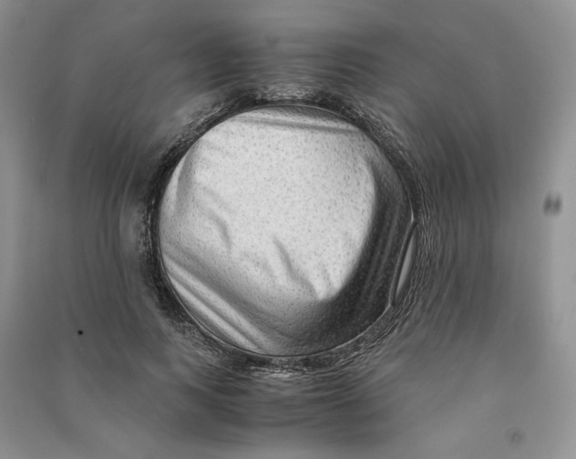 X0000090600743200708141330