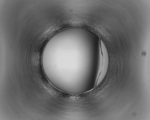 X0000090600744200708141330