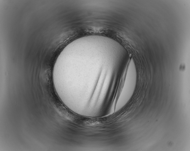 X0000090600747200708141330