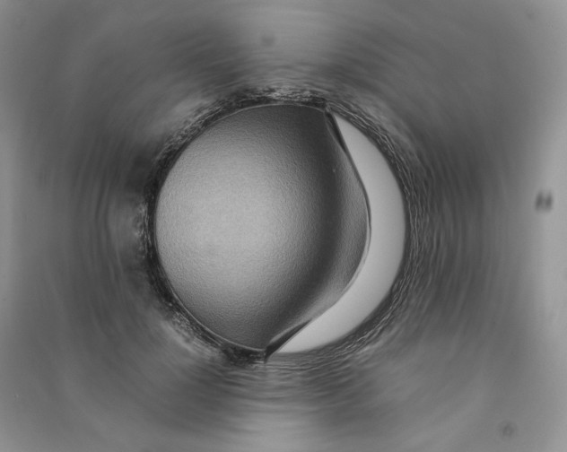 X0000090600748200708141330