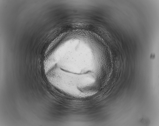 X0000090600749200708141330