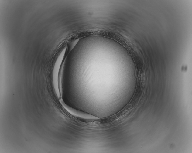 X0000090600750200708141330